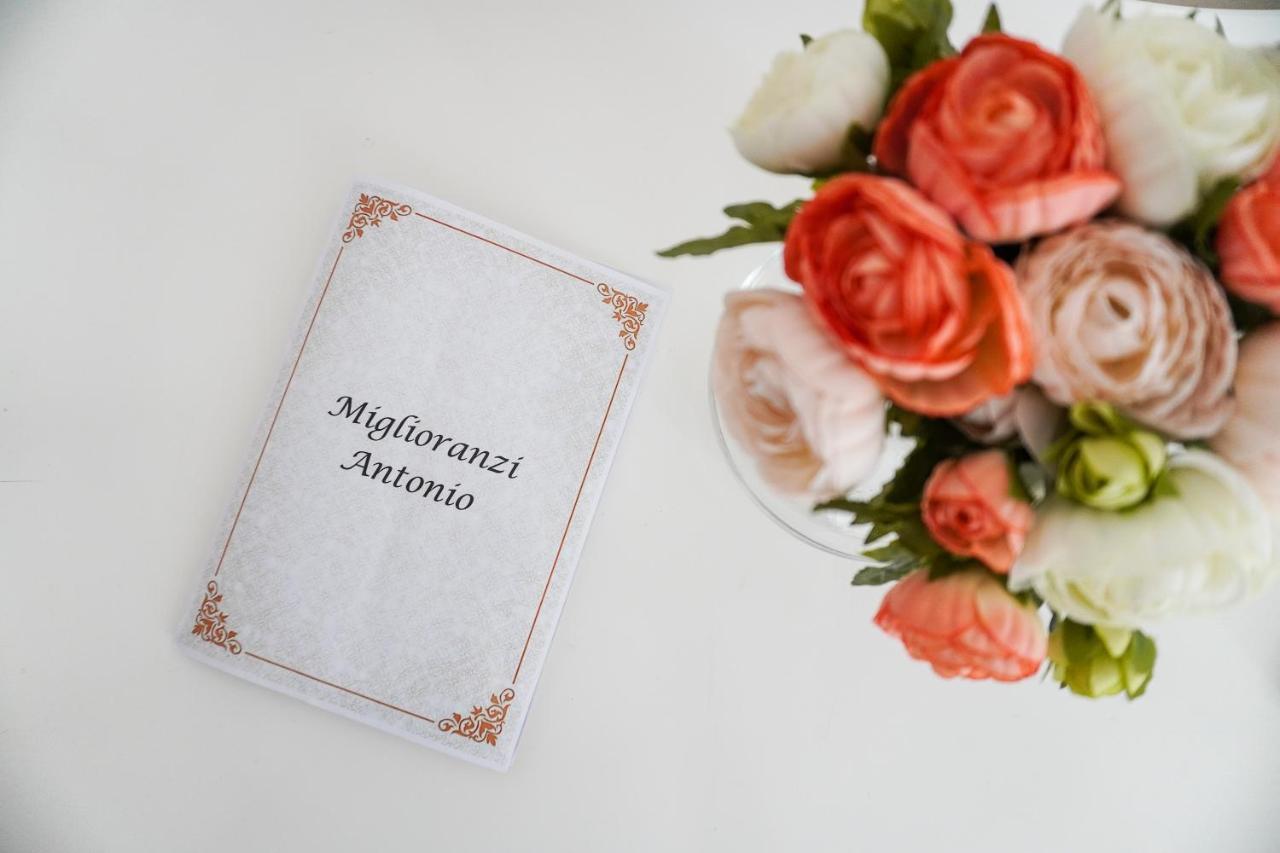 Miglioranzi Apartments Verona Kültér fotó
